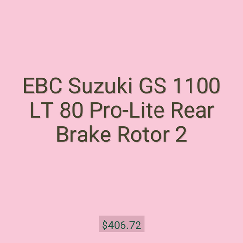 EBC Suzuki GS 1100 LT 80 Pro-Lite Rear Brake Rotor 2