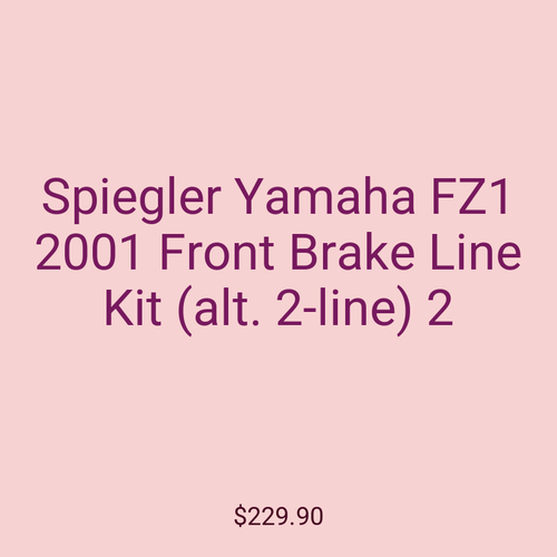 Spiegler Yamaha FZ1 2001 Front Brake Line Kit (alt. 2-line) 2