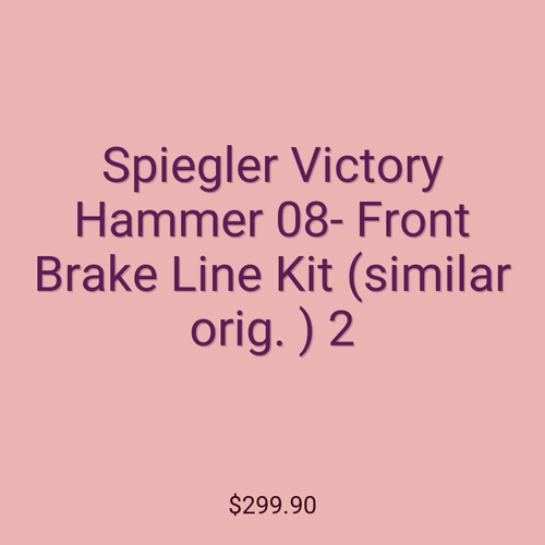 Spiegler Victory Hammer 08- Front Brake Line Kit (similar orig. ) 2