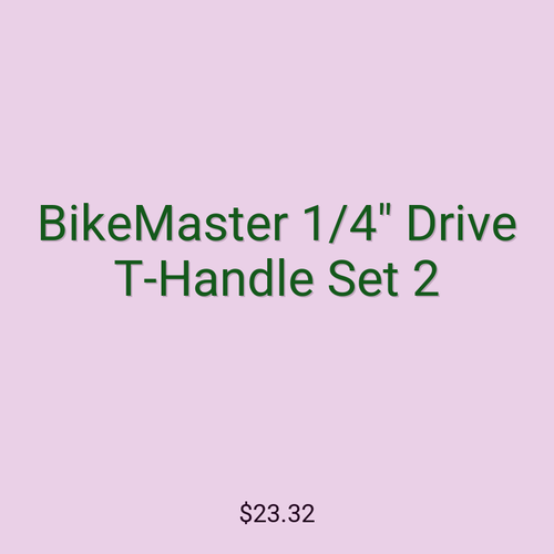 BikeMaster 1/4" Drive T-Handle Set 2
