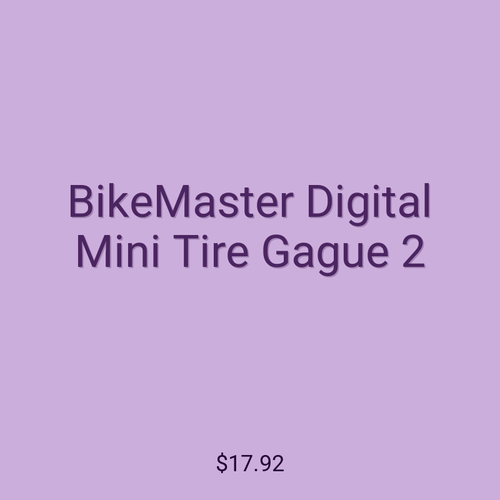 BikeMaster Digital Mini Tire Gague 2