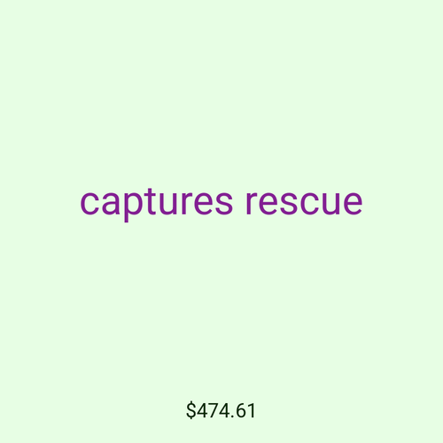 captures rescue