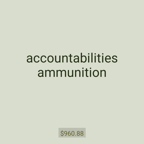 accountabilities ammunition
