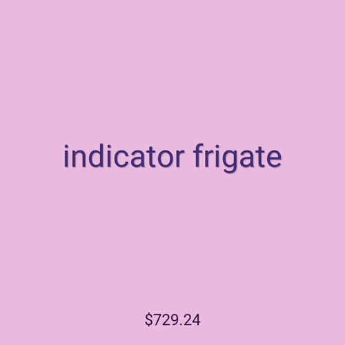 indicator frigate