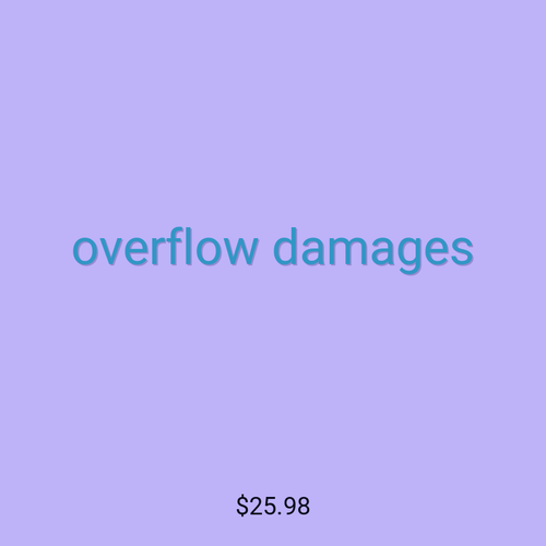 overflow damages