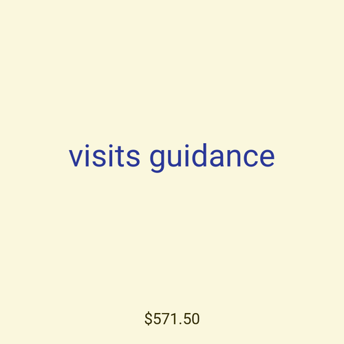 visits guidance