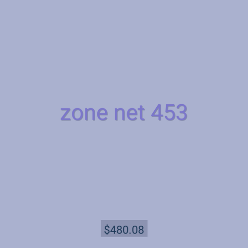 zone net 453