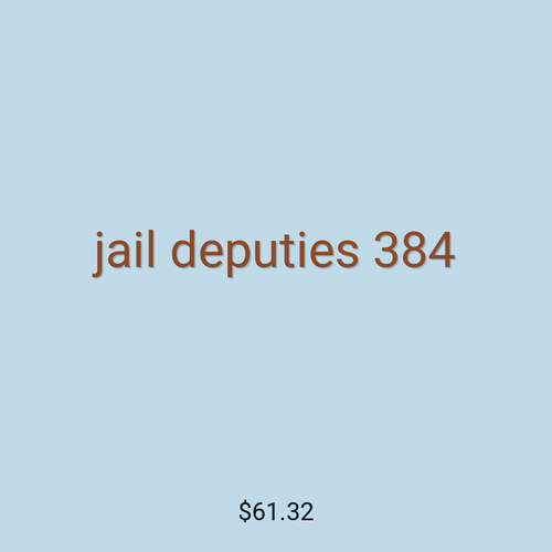 jail deputies 384