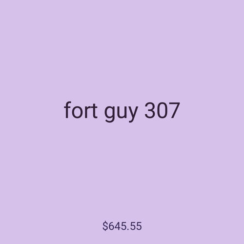 fort guy 307