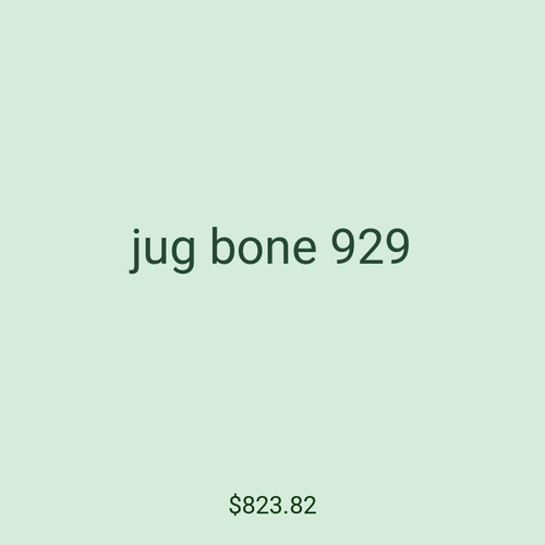 jug bone 929