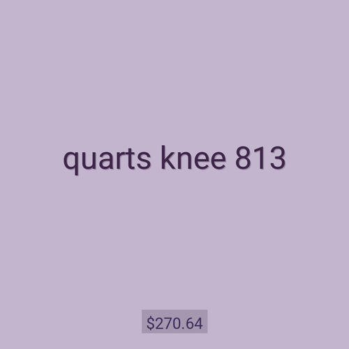 quarts knee 813