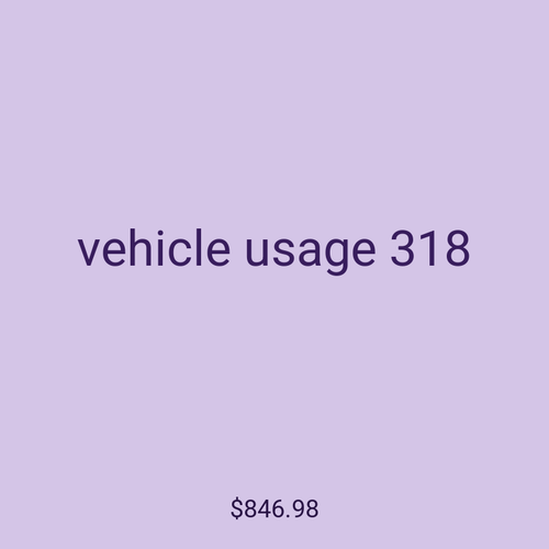 vehicle usage 318