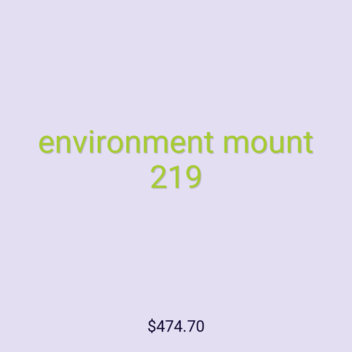 environment mount 219