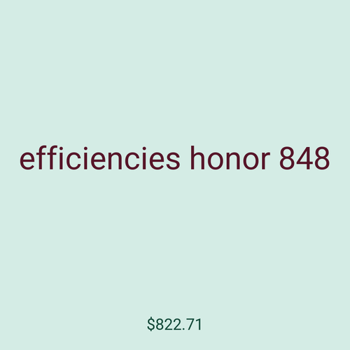 efficiencies honor 848