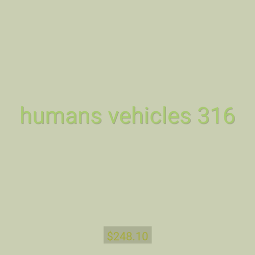 humans vehicles 316