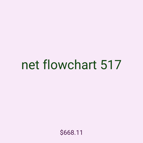 net flowchart 517