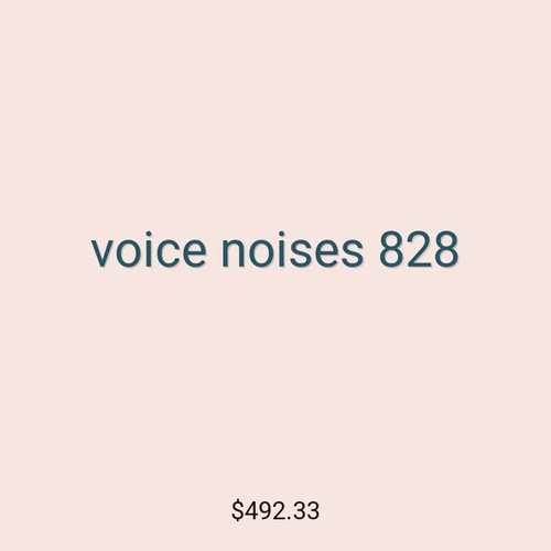 voice noises 828