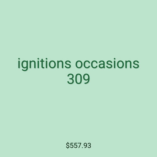 ignitions occasions 309