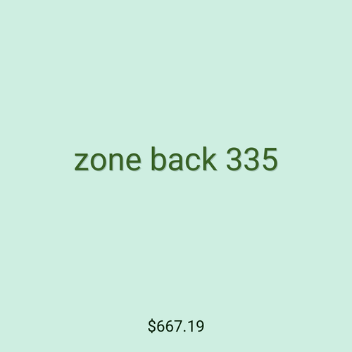 zone back 335