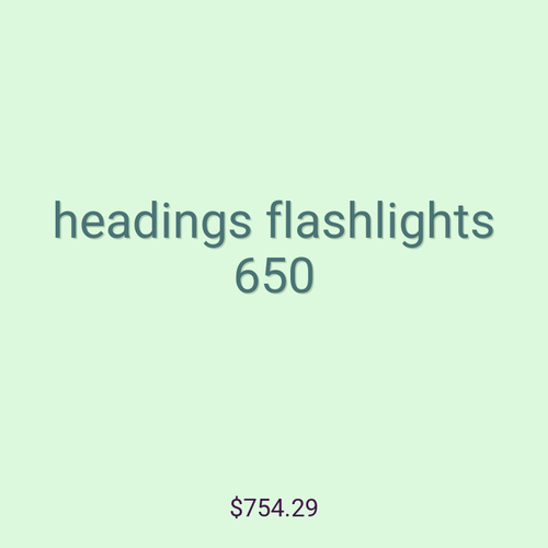 headings flashlights 650