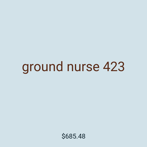 ground nurse 423