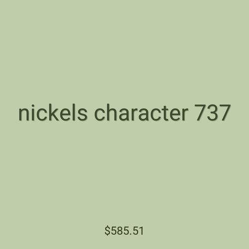 nickels character 737