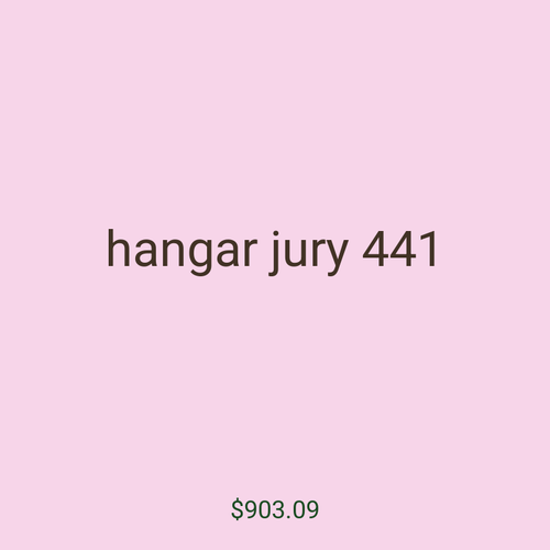 hangar jury 441