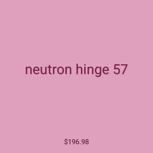 neutron hinge 57