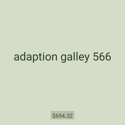 adaption galley 566