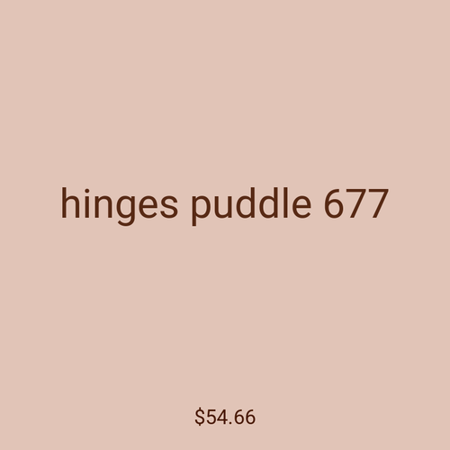 hinges puddle 677