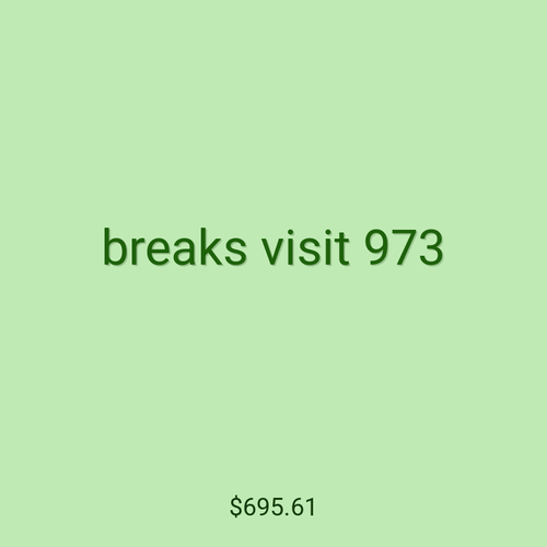 breaks visit 973