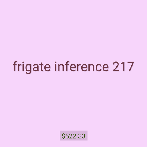 frigate inference 217