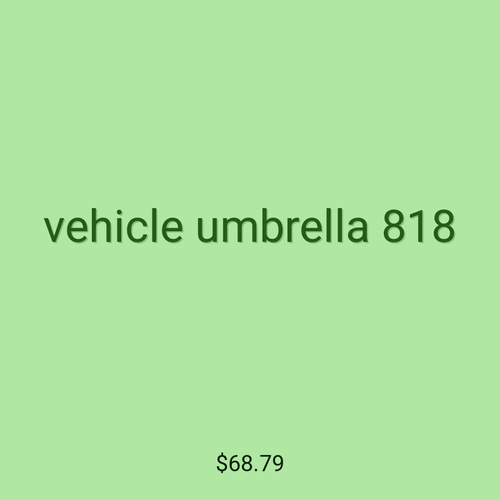 vehicle umbrella 818