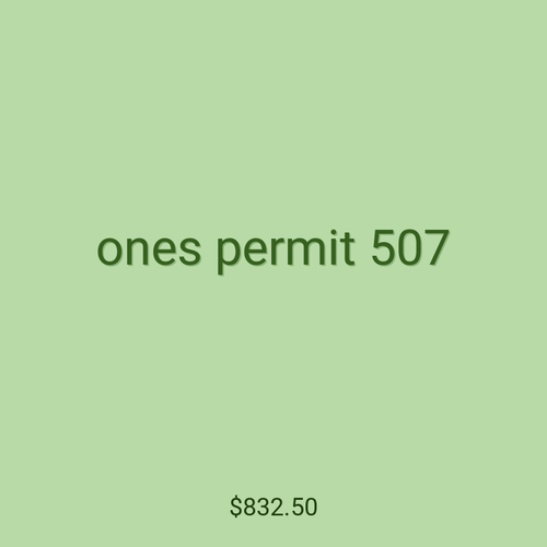 ones permit 507