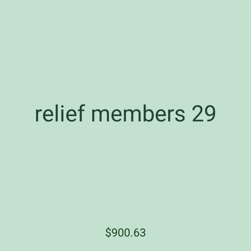 relief members 29