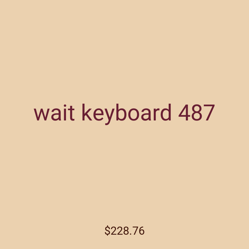 wait keyboard 487