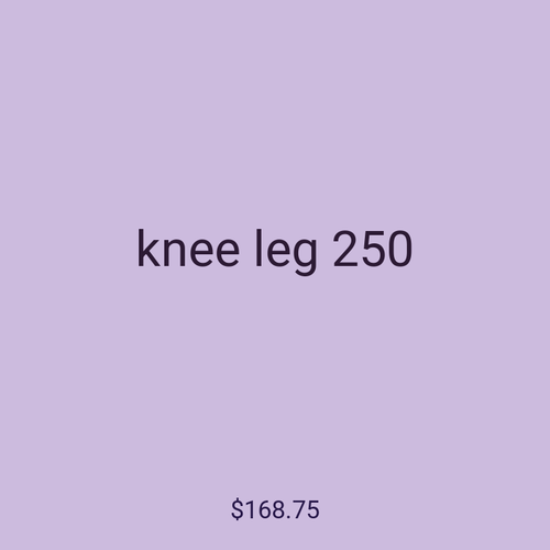 knee leg 250