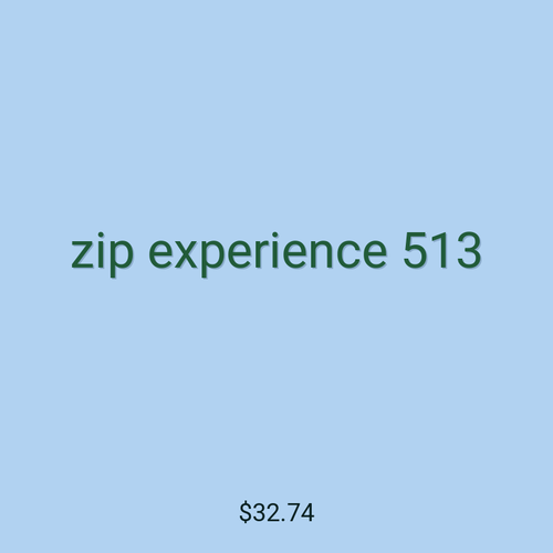 zip experience 513