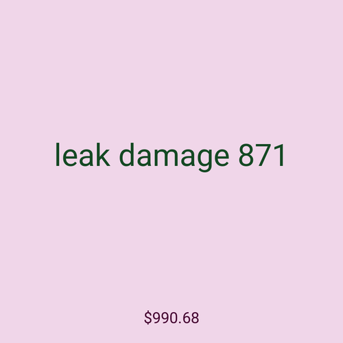 leak damage 871