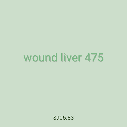 wound liver 475