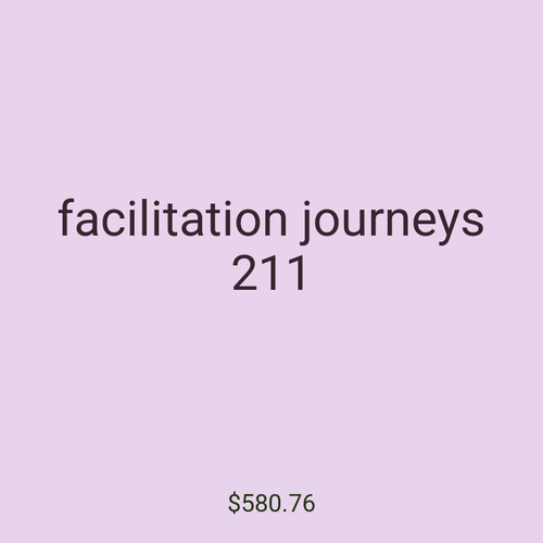 facilitation journeys 211