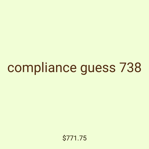 compliance guess 738
