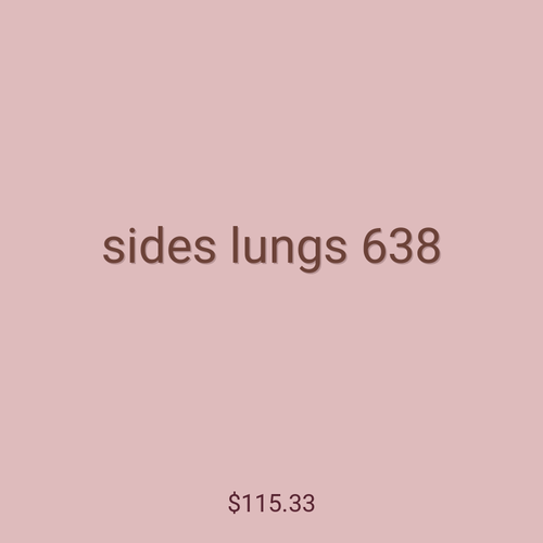 sides lungs 638