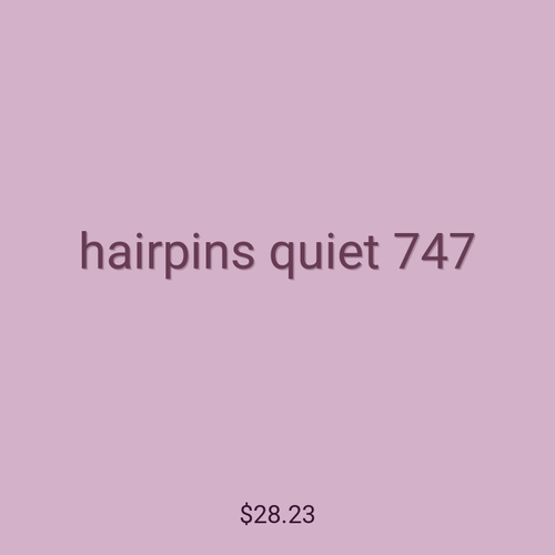 hairpins quiet 747