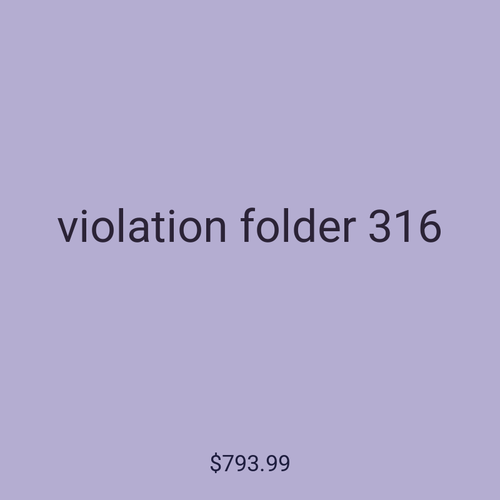 violation folder 316
