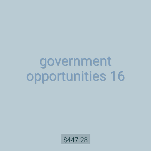 government opportunities 16