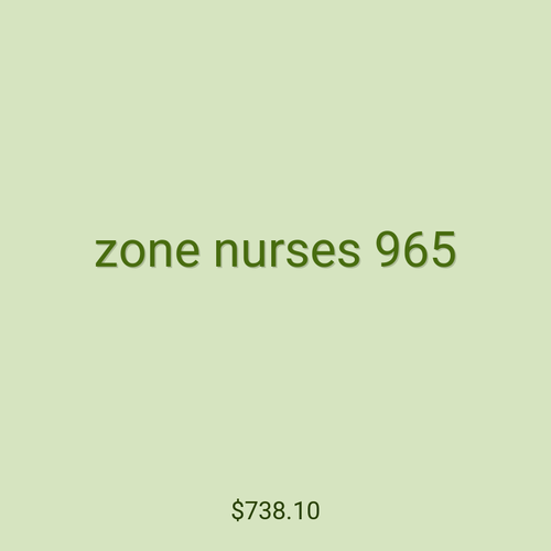 zone nurses 965