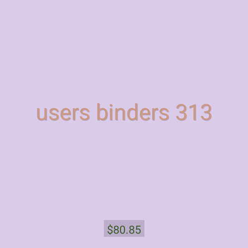 users binders 313
