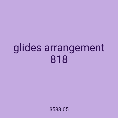 glides arrangement 818