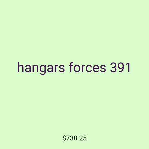 hangars forces 391